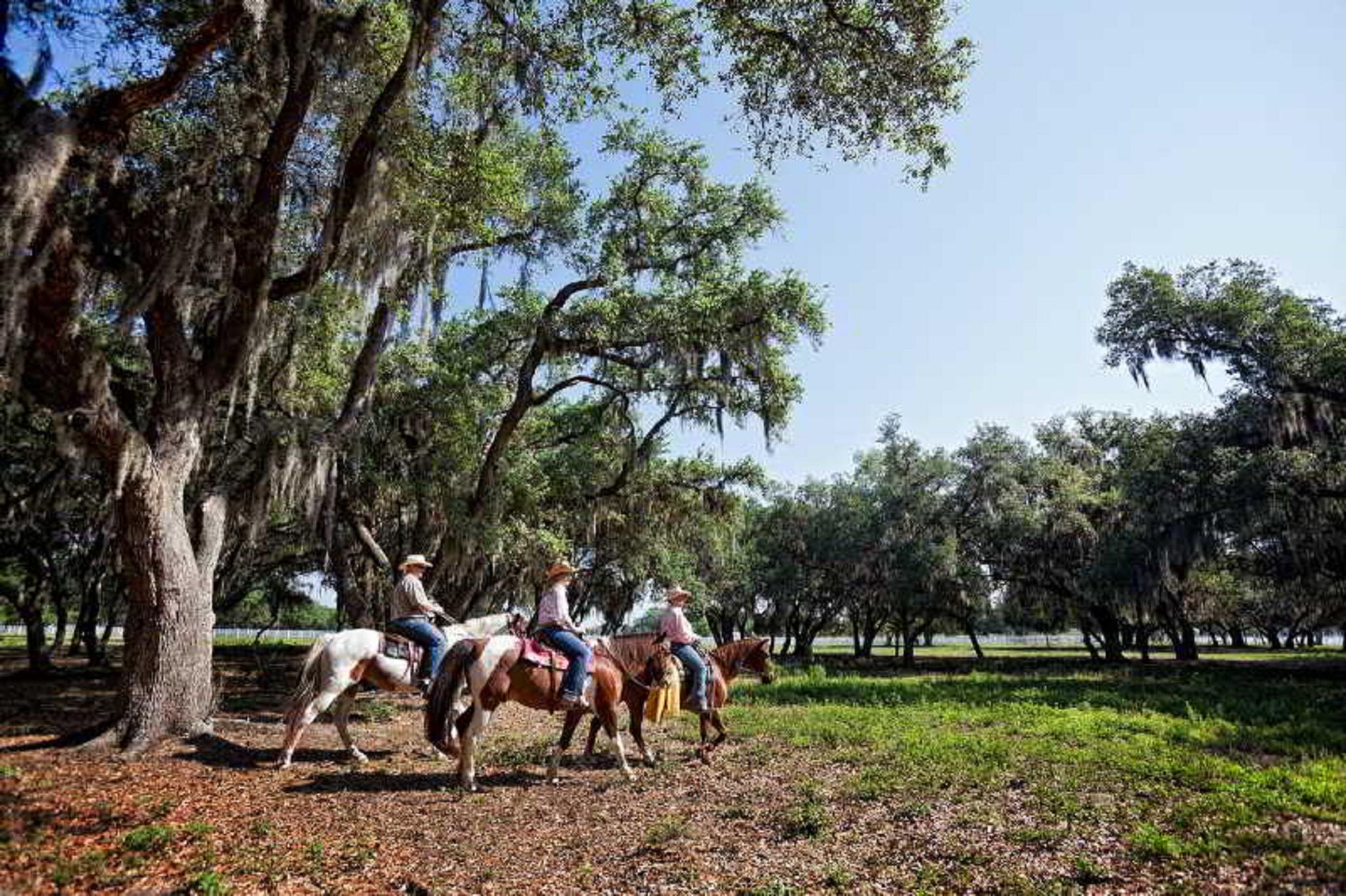 Westgate River Ranch Resort & Rodeo Kültér fotó