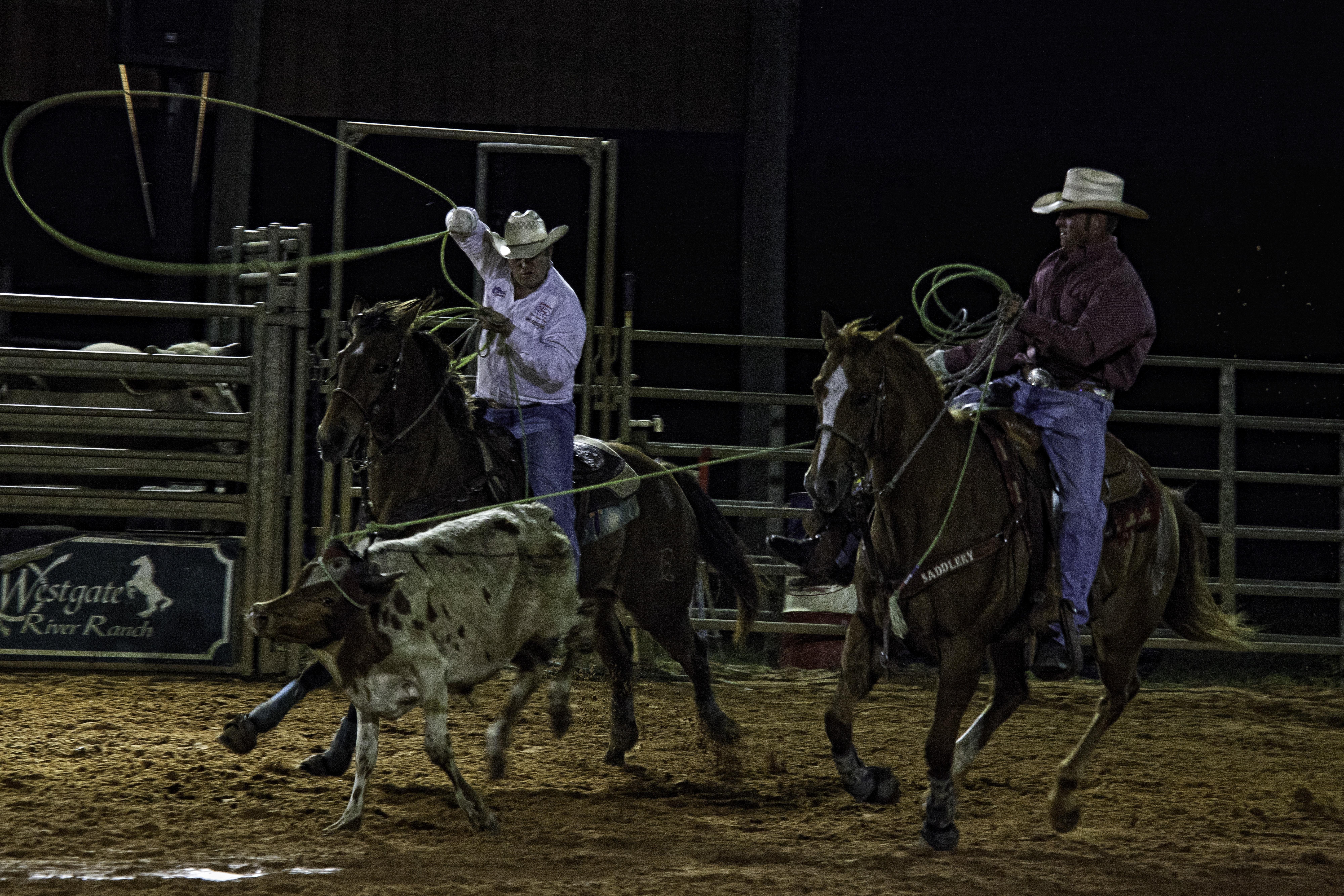 Westgate River Ranch Resort & Rodeo Kültér fotó