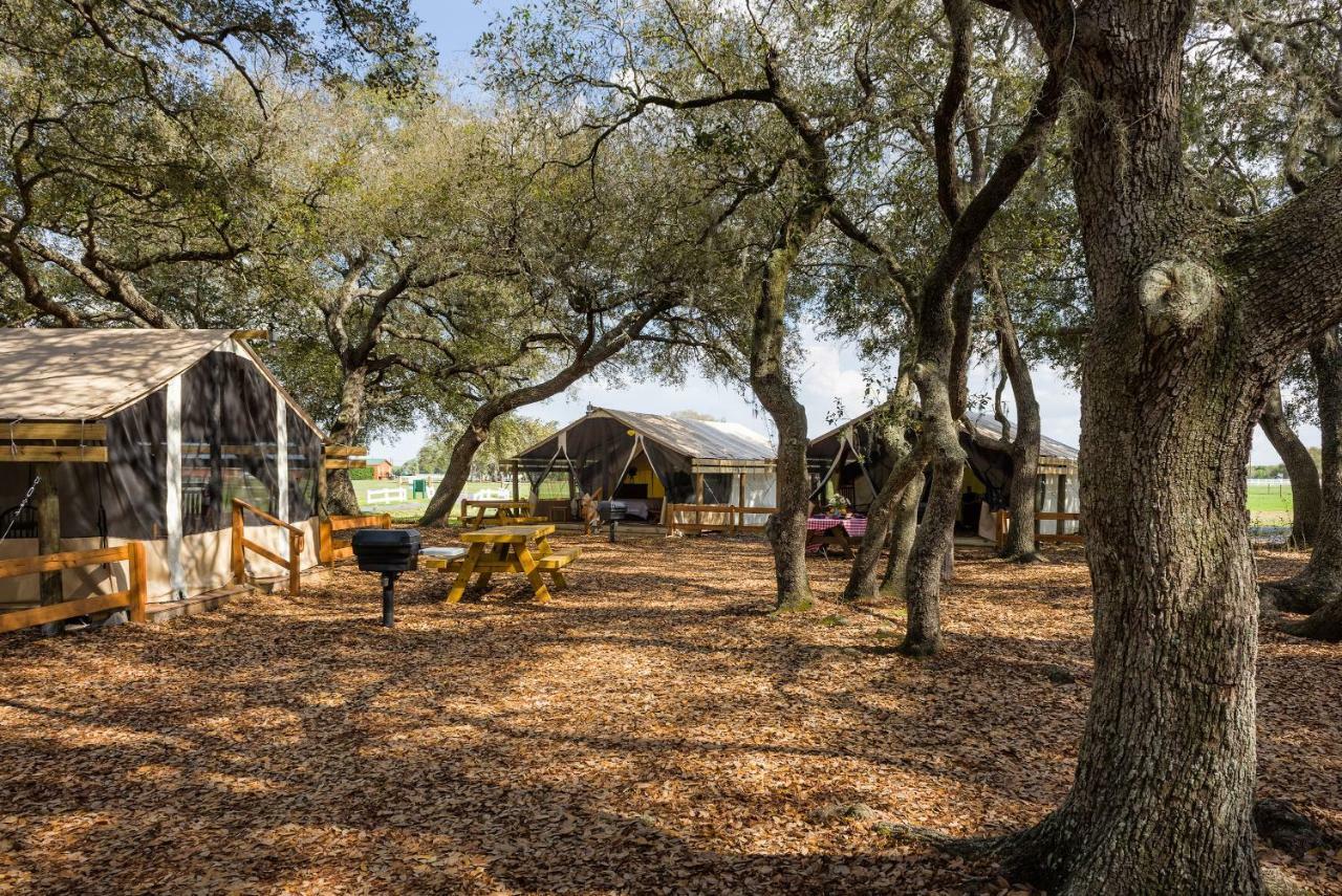 Westgate River Ranch Resort & Rodeo Kültér fotó